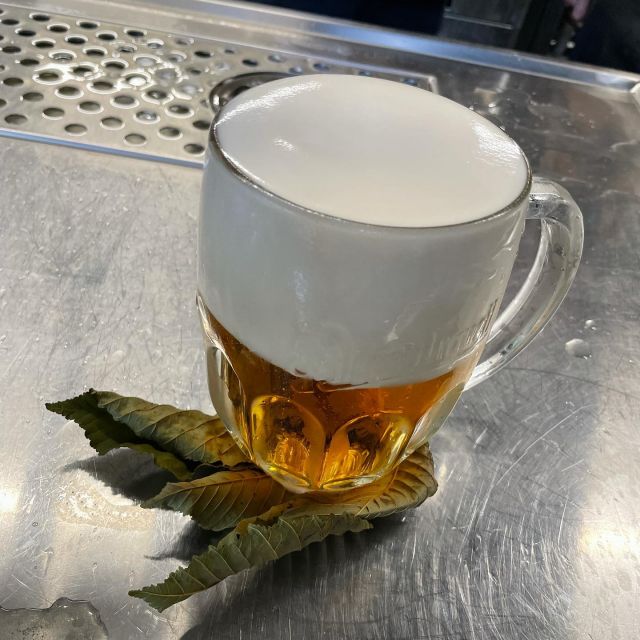 Pán si přál 🍺 na lístek? 
🤣🤣🤣
#nature #leaf #beer #beerporn #beerlife #beergeek #beercleanglass #hladinka #cerveza #trustyourtapster  #pilsnerurquell